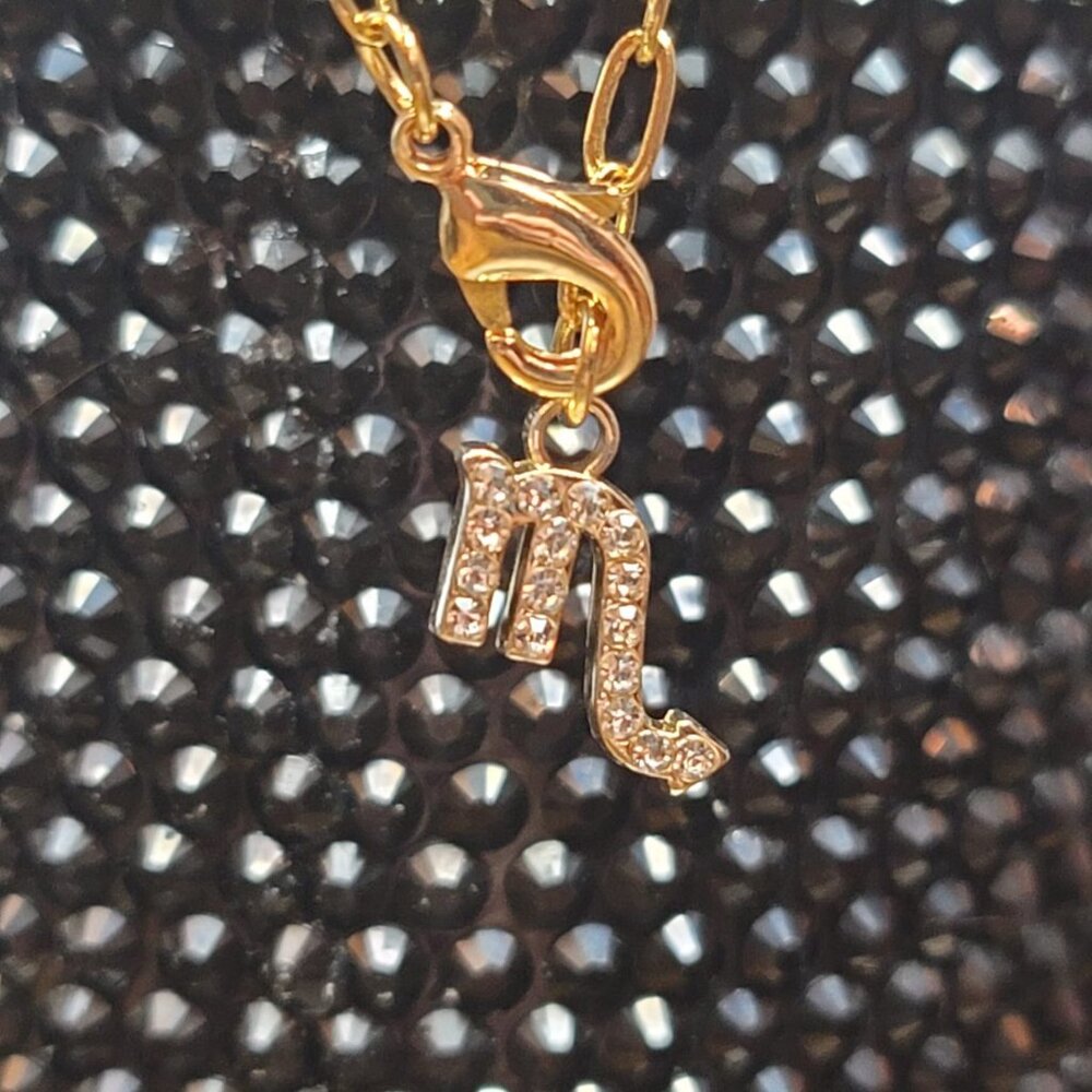 Scorpio Zodiac Tumbler Charm